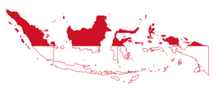 INDONESIA, RAKSASA RITEL DIGITAL DI ASIA TENGGARA-CHUBBYRAWIT